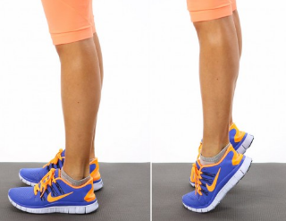 발바닥 굽힘근과 무릎폄