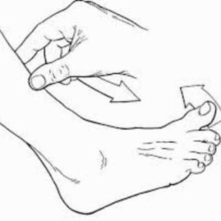 오펜하임 검사 방법