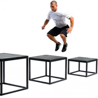 플라이오메트릭