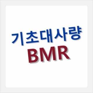 기초대사율 계산방법