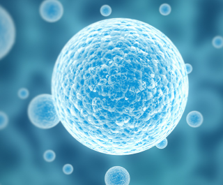 우리 몸에 있는 미생물 역할 4가지는? 7