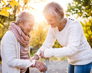 여성 골다공증 원인, 에스트로겐 25