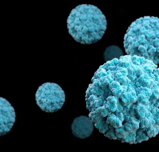 노로바이러스 원인 및 증상 : norovirus 6