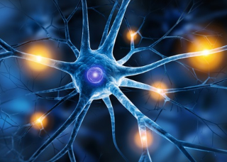 다발성경화증 증상과 원인 : Multiple sclerosis 28