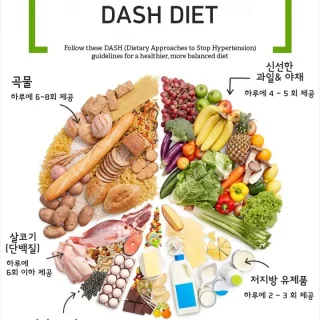 대시 다이어트 란 무엇? : DASH DIET 14