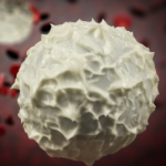 림프계는 우리 몸에서 어떤 역할을 할까요? : Lymphatic System 8