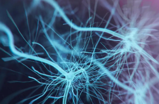 만성통증을 위한 진통제