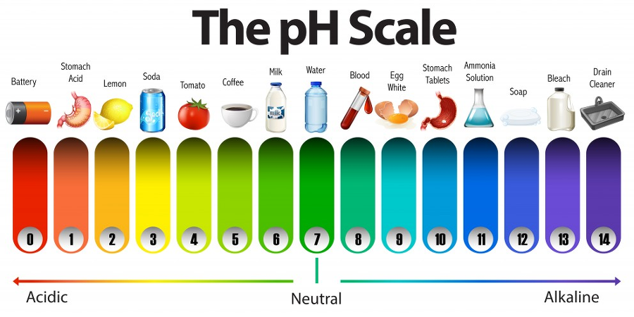 PH 스케일 : 물의 PH는 중성
