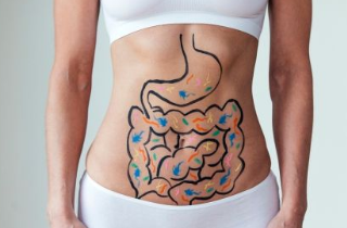 장의 곰팡이균 : 건강한 신진대사에 영향을? 1