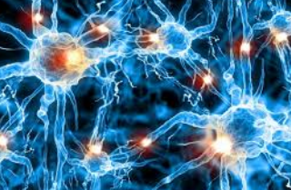 말초신경병증 치료방법 : peripheral neuropathy 31