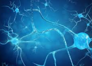 척추성 근위축증