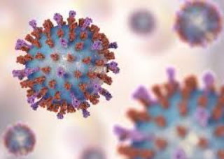 호흡기세포융합바이러스 RSV 증상 : Respiratory Syncytial Virus 9
