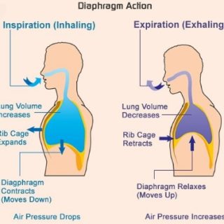 역설 호흡이란 ? Paradoxical breathing 1