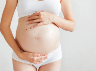 프로게스테론 역할과 프로게스틴 : Progesterone and Progestin 1