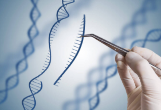 유전자 검사와 인간 게놈 프로젝트 왜 중요할까요? 1