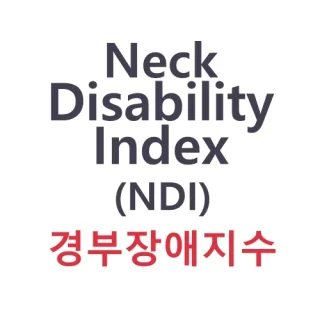 경부장애지수 : Neck Disability Index (NDI) 평가지 다운로드 1