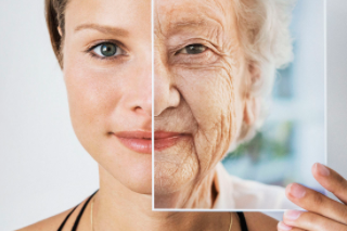 노화 : 잘못 알고 있는 사실 5