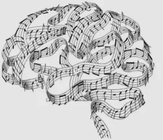 음악 일시 정지와 신경 과학 5