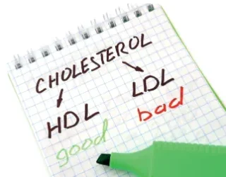 HDL과 LDL 차이점 : 지질단백질, 콜레스테롤 1