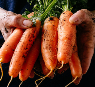 베타카로틴 하루 권장량 : 눈건강은 기본 30