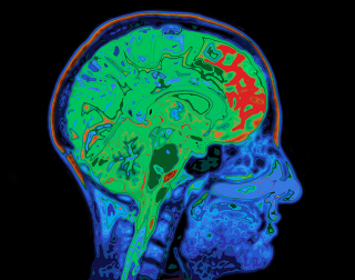 거짓말 탐지 뇌 스캔으로 가능? 45