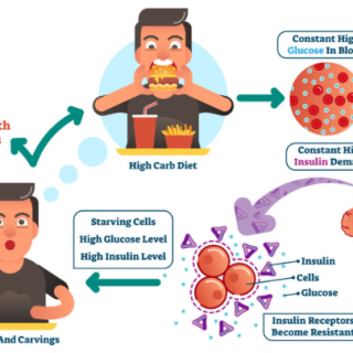 인슐린 저항성 VS 인슐린 감수성 : 유리 지방산이 문제? 36