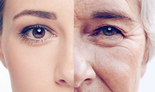 콜라겐 성분, 피부건강에 중요~! 1