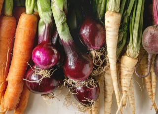 뿌리 채소 효능과 식재료 13가지 : 왜 건강에 좋을까? 8