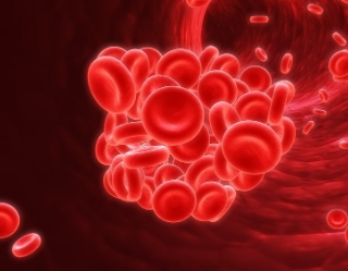 적혈구침강속도 검사 목적과 결과 : 높은 수준의 염증이 있으면↑ 10