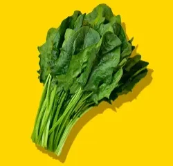 우리 몸의 효소의 역할은 무엇? Enzyme 6