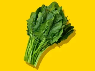 망간 결핍, 우리 몸에 어떤 일이? : 효소의 필수 요소 4