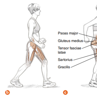 달리기 훈련방법 : ABC반복연습 4