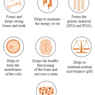 인결핍 : 인의 기능