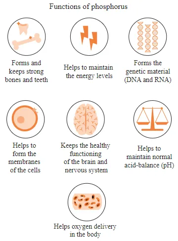 인결픱 : 인의 기능