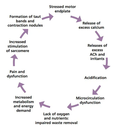 Energy Crisis Hypothesis cycle