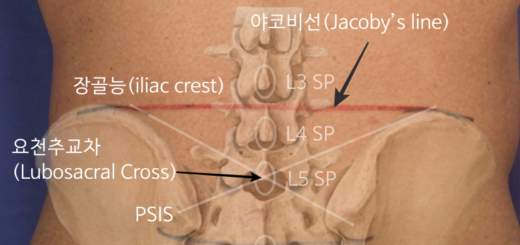 요추5번 촉진방법