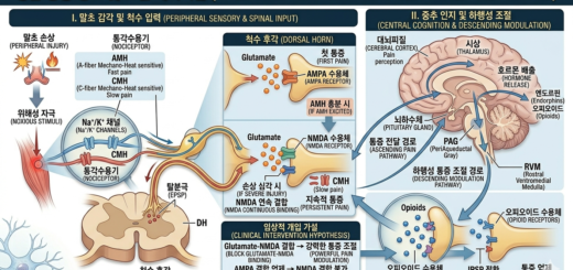 통합 통증 메커니즘: 감각 전달, 시간적 부호화, 그리고 자가 조절 경로