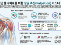 촉진에서 표면해부학의 중요성
